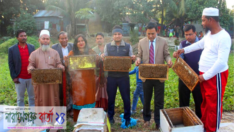 বন্দরে মৌ খামার পরিদর্শন করেছে জেলা ও উপজেলার কর্মকর্তা