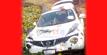 সোনারগাঁয়ে মাইক্রোবাস খাদে পড়ে নিহত-৪