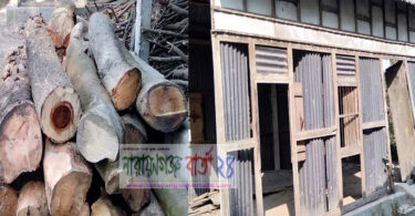 বন্দরে অর্ধশত ফলজ গাছ কর্তন ও মুরগীর খামারে দুর্বৃত্তদের ভাংচুর