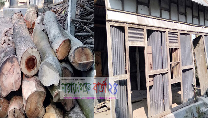 বন্দরে অর্ধশত ফলজ গাছ কর্তন ও মুরগীর খামারে দুর্বৃত্তদের ভাংচুর