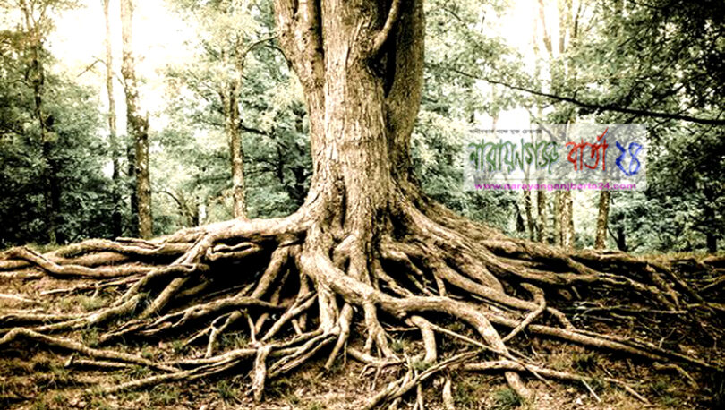 ★ শেকড় ★ ( কবিতা )