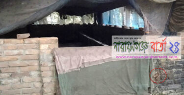 সোনারগাঁয়ে ৩ লক্ষাধিক টাকা মূল্যের ৩টি গরু চুরি