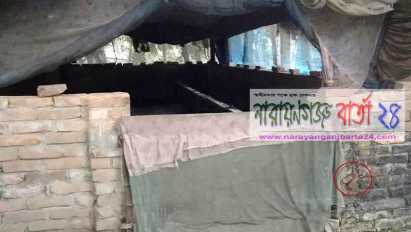সোনারগাঁয়ে ৩ লক্ষাধিক টাকা মূল্যের ৩টি গরু চুরি