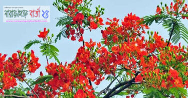 আজ পহেলা ফাল্গুন