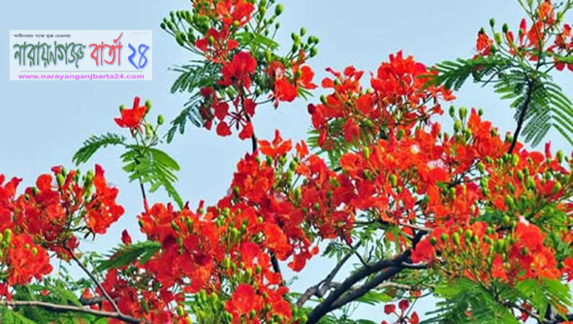 আজ পহেলা ফাল্গুন
