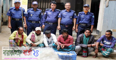 মেঘনায় ২০ কেজি জাটকাসহ ৬ জেলে আটক