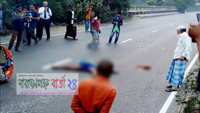 সোনারগাঁয়ে সড়ক দুর্ঘটনায় রিকশা চালক নিহত