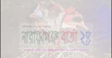 সোনারগাঁয়ে সড়ক দূর্ঘটনায় মোটরসাইকেল আরোহী মা-মেয়ে নিহত