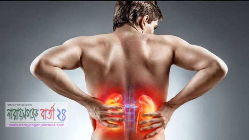 মাত্র ২ টাকায় সারবে কিডনির পাথর!