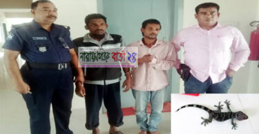 সিদ্ধিরগঞ্জে তক্ষকসহ দুই পাচারকারী আটক