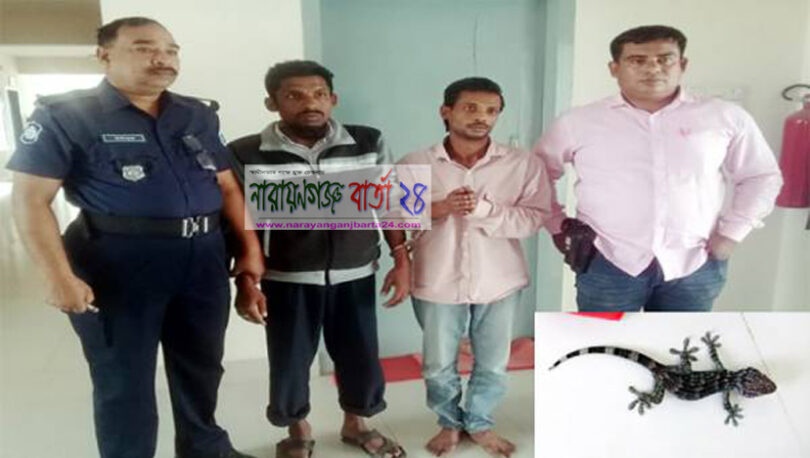 সিদ্ধিরগঞ্জে তক্ষকসহ দুই পাচারকারী আটক