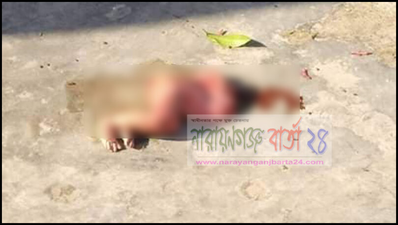 না.গ‌ঞ্জের জামতলায় শিশুর দ্বিখণ্ডিত লাশ উদ্ধার