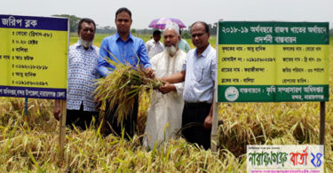 বন্দরে বোরো ধান প্রদর্শনীর মাঠ দিবস অনুষ্ঠিত