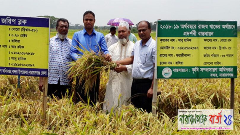 বন্দরে বোরো ধান প্রদর্শনীর মাঠ দিবস অনুষ্ঠিত