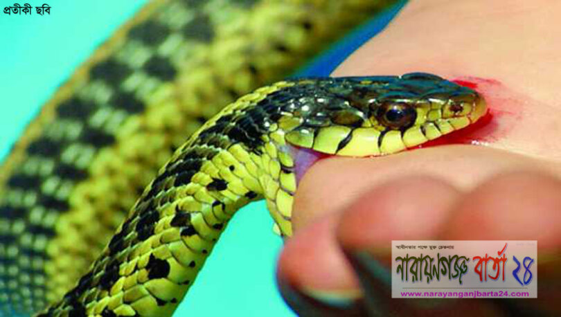 বিষাক্ত সাপ