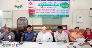 রূপগঞ্জের মুড়াপাড়া ও দাউদপুর ইউনিয়নের বাজেট ঘোষণা