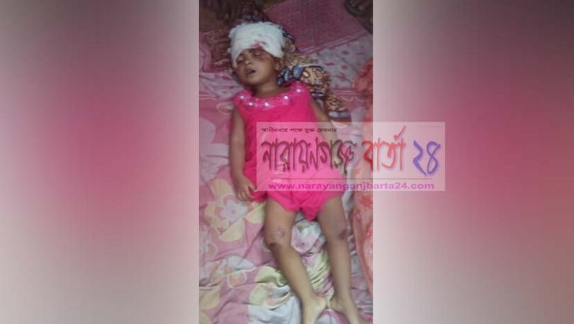 বন্দরে মায়ের কোল থেকে ছিটকে পড়ে শিশু নিহত