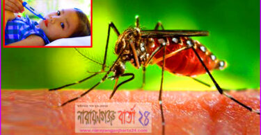 যে ভাবে বুঝবেন আপনি ডেঙ্গু জ্বরে আক্রান্ত !