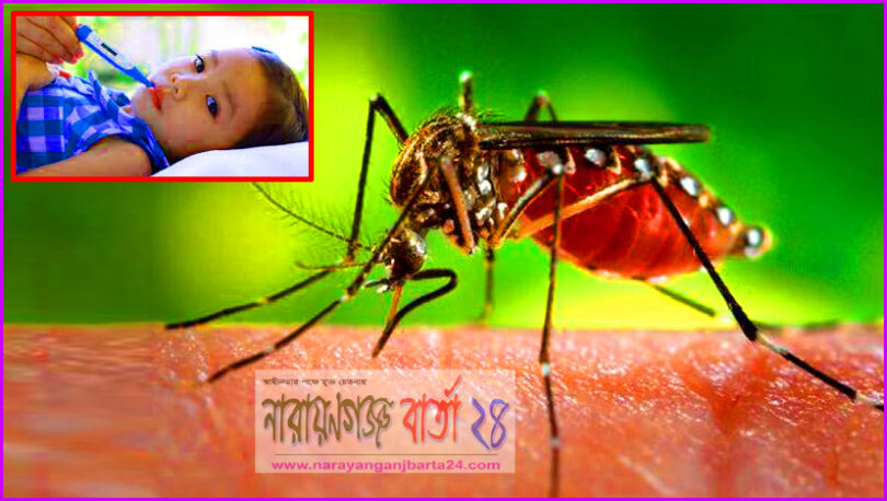 যে ভাবে বুঝবেন আপনি ডেঙ্গু জ্বরে আক্রান্ত !