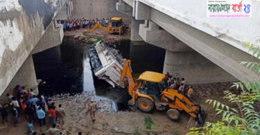 ফ্লাইওভার থেকে ছিটকে পড়ল বাস, নিহত ২৯