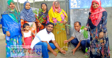 সোনাকান্দা আদর্শ স.প্রা.বিদ্যালয়ে বৃক্ষরোপন কর্মসূচী অনুষ্ঠিত