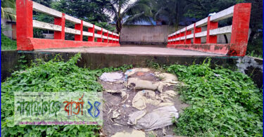 মদনপুরে সেতু থাকলেও চলাচলের সড়ক না থাকায় জনদুর্ভোগ চরমে
