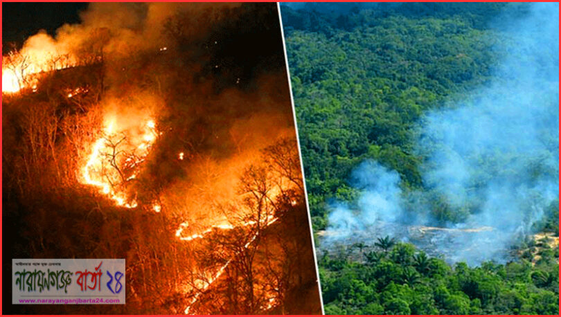আমাজনের আগুন নিয়ন্ত্রণে সশস্ত্র বাহিনী পাঠাচ্ছে ব্রাজিল