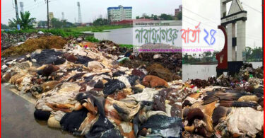 না.গঞ্জ লিংক রোডে চামড়া স্তূপ, দুর্গন্ধে অতিষ্ঠ মানুষ