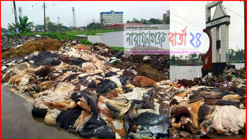 না.গঞ্জ লিংক রোডে চামড়া স্তূপ, দুর্গন্ধে অতিষ্ঠ মানুষ
