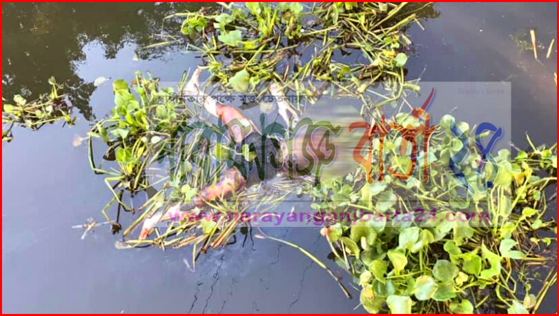 বন্দরে অজ্ঞাত যুবকের অর্ধগলিত লাশ উদ্ধার