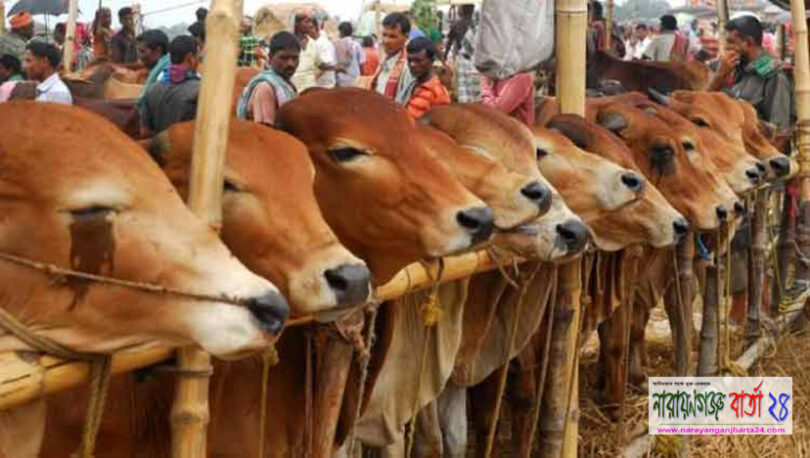 দুসরা 'ঈদ' আত্মত্যাগের বিনিময়েই হয় কোরবানি