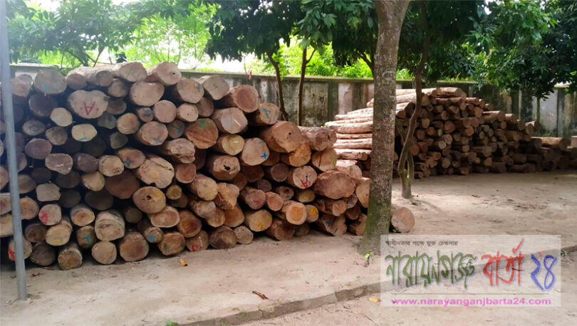 সোনারগাঁয়ে ১০ লক্ষ টাকার চোরাই সেগুন কাঠ উদ্ধার