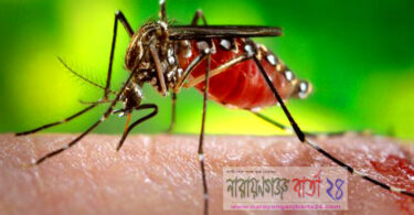 মশার উপদ্রবে অতিষ্ঠ ২২ ও ২৩নং ওয়ার্ডবাসী