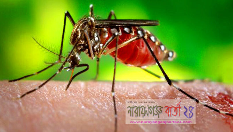 মশার উপদ্রবে অতিষ্ঠ ২২ ও ২৩নং ওয়ার্ডবাসী