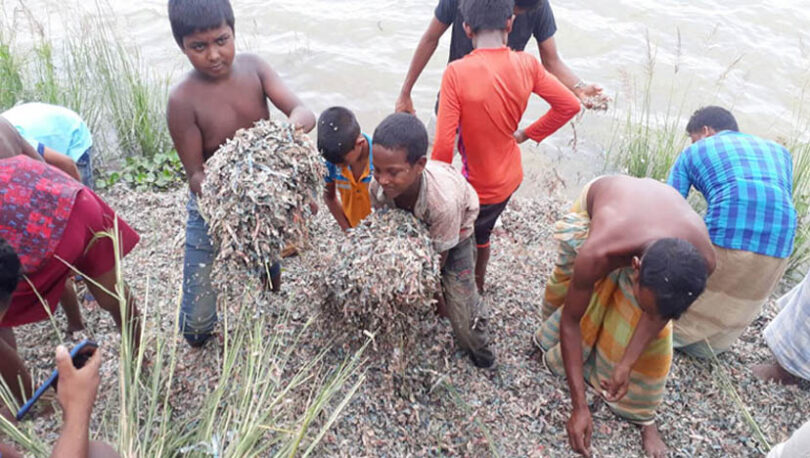 বগুড়ায় রাস্তার পাশ থেকে কয়েক বস্তা ছেঁড়া টাকা উদ্ধার
