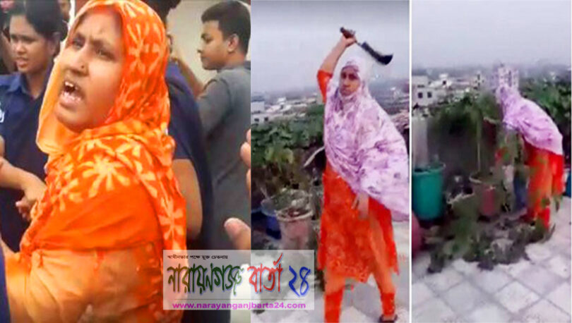 ছাদ বাগানের গাছ কেটে ফেলা সেই নারী গ্রেফতার