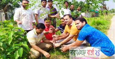 রূপগঞ্জে রাস্তার পাশে বৃক্ষরোপন কর্মসূচী