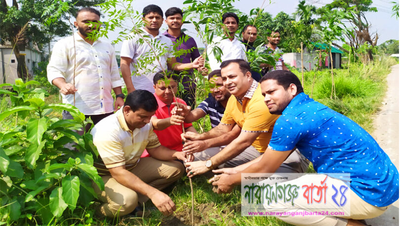 রূপগঞ্জে রাস্তার পাশে বৃক্ষরোপন কর্মসূচী