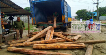 সোনারগাঁয়ে কাভার্ডভ্যান বোঝাই চোরাই সেগুন কাঠ উদ্ধার
