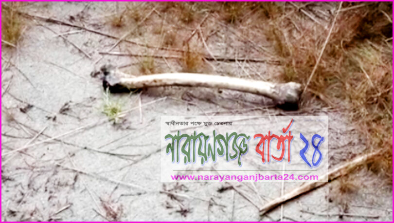 না.গঞ্জে নিখোঁজের ৭ মাস পর রং মিস্ত্রীর কঙ্কাল উদ্ধার, আটক-৬