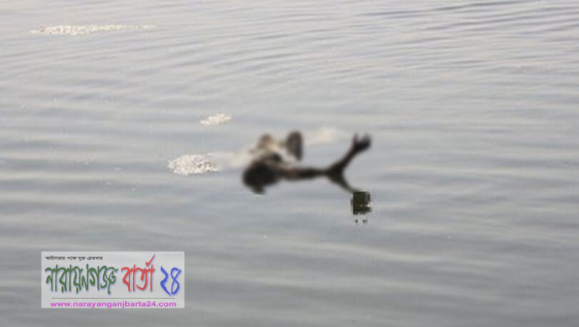 ফতুল্লায় বুড়িগঙ্গা নদী থেকে যুবকের লাশ উদ্ধার