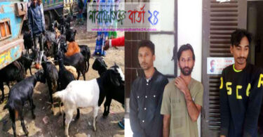 না.গঞ্জে ছাগল লুট করার সময় পুলিশের ধাওয়া ৩ ডাকাত গ্রেফতার