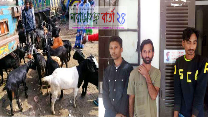 না.গঞ্জে ছাগল লুট করার সময় পুলিশের ধাওয়া ৩ ডাকাত গ্রেফতার