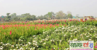 ফুলের গ্রাম নামে পরিচিত বন্দরের সাবদী