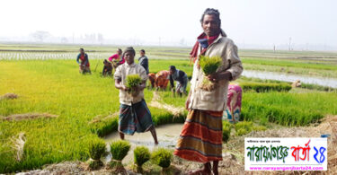না.গঞ্জ সহ শীতে কাঁপছে দেশ, ঢাকায় সর্বনিম্ন তাপমাত্রার রেকর্ড