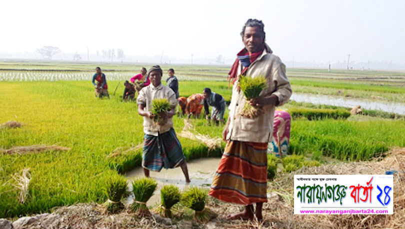 না.গঞ্জ সহ শীতে কাঁপছে দেশ, ঢাকায় সর্বনিম্ন তাপমাত্রার রেকর্ড