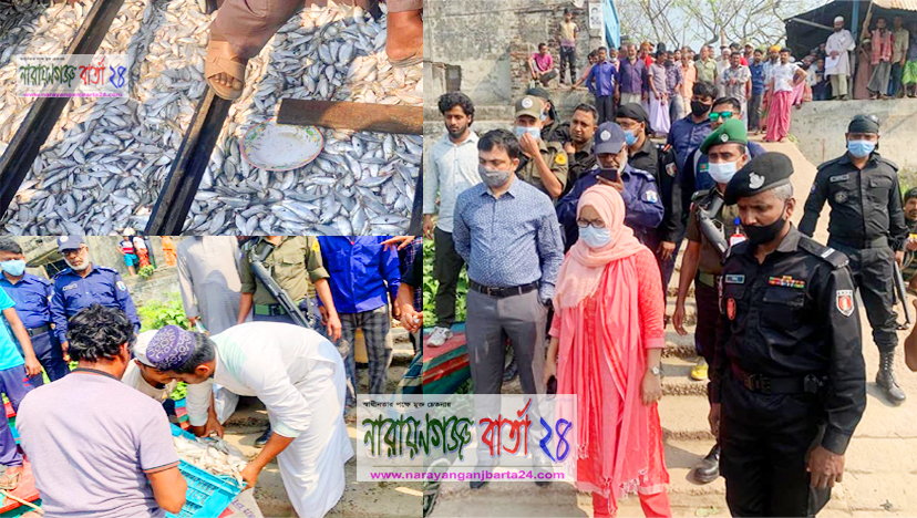নারায়ণগঞ্জে ১০মন জাটকা ইলিশ উদ্ধার, ৪ আসামীকে ২০ হাজার টাকা জরিমানা