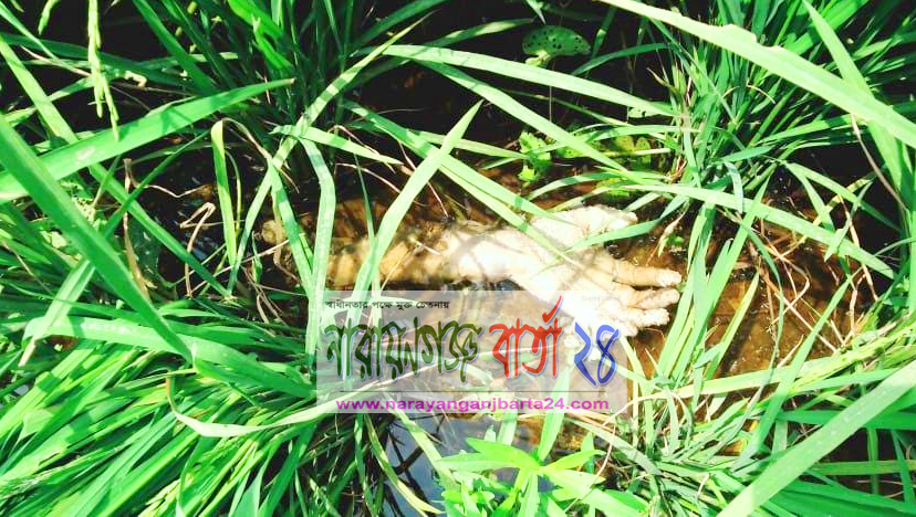 বন্দরে যুবক হত্যাকান্ডের ৪ দিন পর মিলল খন্ডিত হাত
