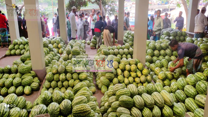 তরমু‌জের অস্বাভাবিক মূল‌্য হ্রাস পে‌তে ৭‌ দিন বয়কটের আহ্বান