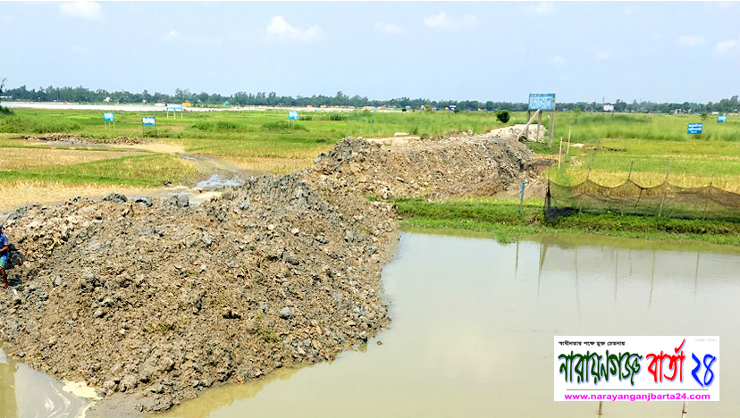 হাইকোর্টের নির্দেশ অমান্য করে রূপগঞ্জে ফসলি জমি ও জলাশয় ভরাট